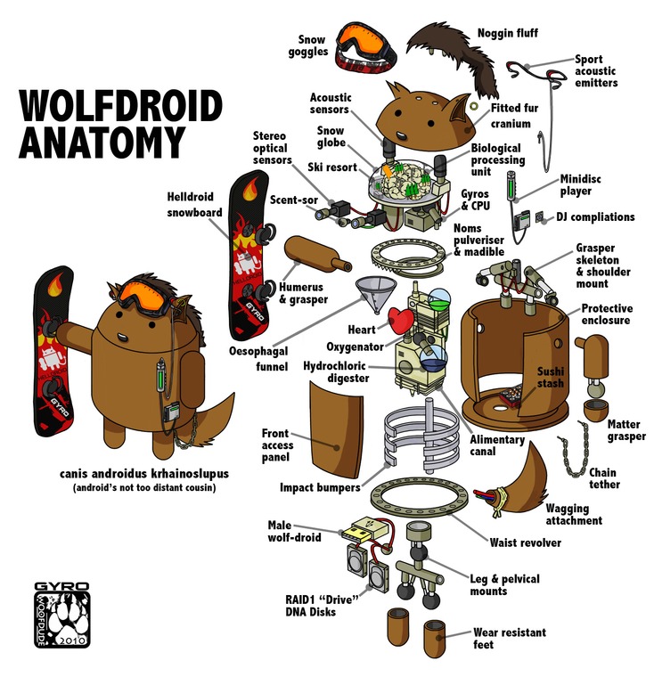 Wolfdroid Anatomy
